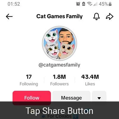 tiktok story viewer